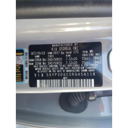 2024 KIA TELLURIDE 5XYP3DGC5RG454118 69256125