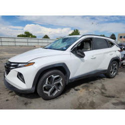 2023 HYUNDAI TUCSON 5NMJFCAE0PH185076 81074145
