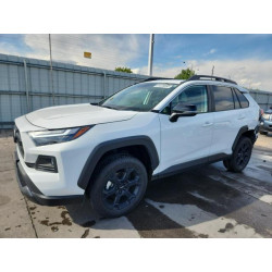 2023 TOYOTA RAV4 2T3S1RFV8PW402366 81329855