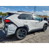 2023 TOYOTA RAV4 2T3S1RFV8PW402366 81329855
