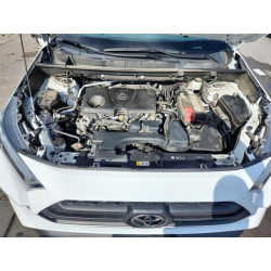 2023 TOYOTA RAV4 2T3S1RFV8PW402366 81329855