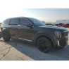 2020 KIA TELLURIDE 5XYP54HC8LG089725 80520495
