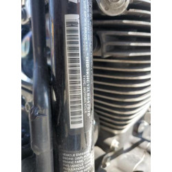 2020 HARLEY-DAVIDSON FL 1HD1KHC13LB647078 57558975