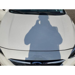 2022 SUBARU IMPREZA 4S3GKAB63N3606673 80513545