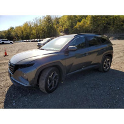 2022 HYUNDAI TUCSON KM8JFCA14NU059916 83824485