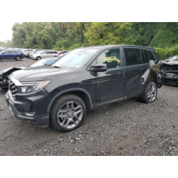 2023 HONDA PASSPORT 5FNYF8H55PB022183 84281925