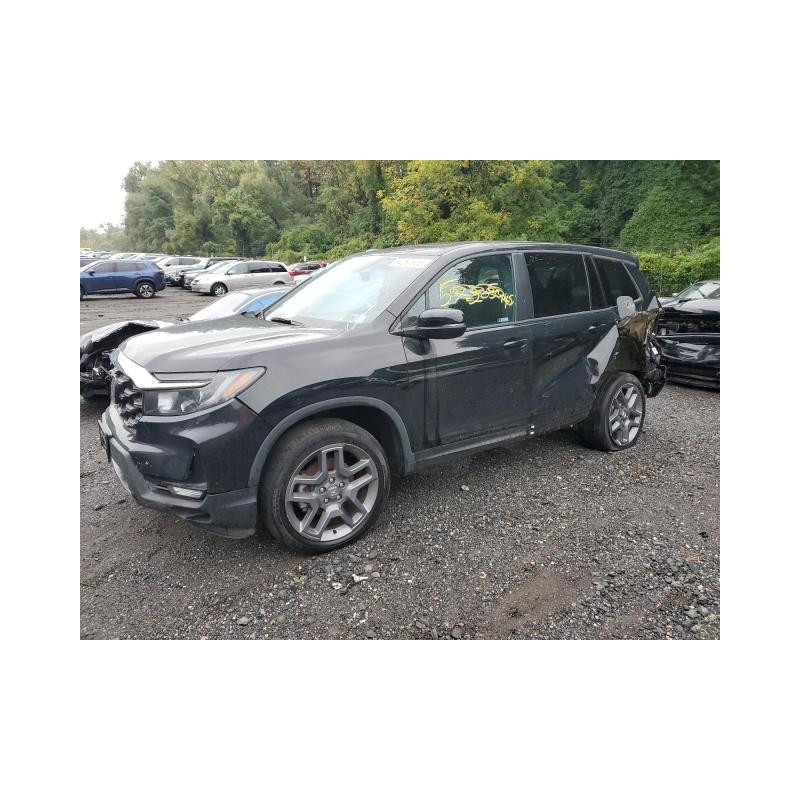 2023 HONDA PASSPORT 5FNYF8H55PB022183 84281925 2023 HONDA PASSPORT 5FNYF8H55PB022183 84281925