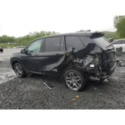 2023 HONDA PASSPORT 5FNYF8H55PB022183 84281925
