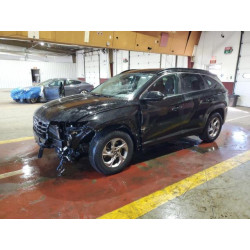 2024 HYUNDAI TUCSON 5NMJB3DE1RH329275 85125895
