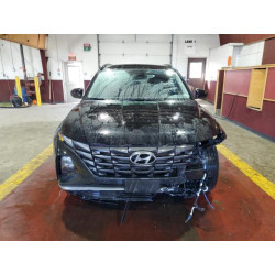 2024 HYUNDAI TUCSON 5NMJB3DE1RH329275 85125895