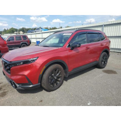 2025 HONDA CRV 5J6RS6H80SL036927 80845935
