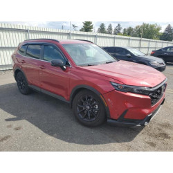2025 HONDA CRV 5J6RS6H80SL036927 80845935