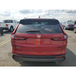 2025 HONDA CRV 5J6RS6H80SL036927 80845935