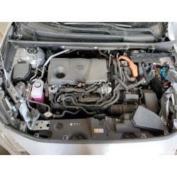 2024 TOYOTA RAV4 4T3RWRFV6RU139569 81042925