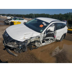2023 HYUNDAI TUCSON KM8JBCA11PU101974 69469755