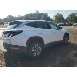 2023 HYUNDAI TUCSON KM8JBCA11PU101974 69469755