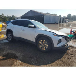 2023 HYUNDAI TUCSON KM8JBCA11PU101974 69469755