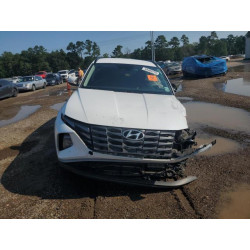 2023 HYUNDAI TUCSON KM8JBCA11PU101974 69469755