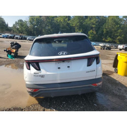 2023 HYUNDAI TUCSON KM8JBCA11PU101974 69469755
