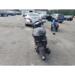 2024 OTHER MOTORCYCLE MOTORCYCLE LFETCAGB2R1000020 69642315