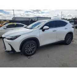 2024 LEXUS NX 350 PRE JTJGGCEZ7R5005969 80181865