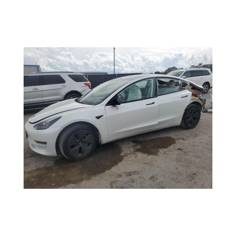 2023 TESLA MODEL 3 5YJ3E1EA1PF582840 81240585 2023 TESLA MODEL 3 5YJ3E1EA1PF582840 81240585
