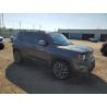 2021 JEEP RENEGADE ZACNJDD14MPM22038 81056745