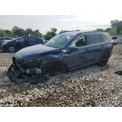 2025 HONDA CRV 7FARS6H80SE023320 81577715