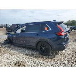 2025 HONDA CRV 7FARS6H80SE023320 81577715