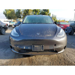 2024 TESLA MODEL Y 7SAYGDED2RF103181 71843735