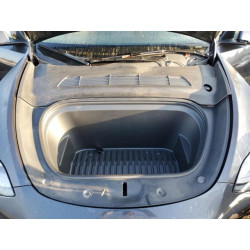 2024 TESLA MODEL Y 7SAYGDED2RF103181 71843735