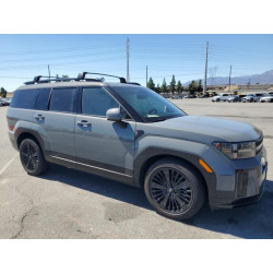 2024 HYUNDAI SANTA FE 5NMP5DG14RH001137 71892395