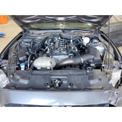 2021 FORD ALL Models 1FA6P8TH3M5158353 71054955