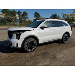 2024 KIA SORENTO 5XYRLDJC1RG274507 84454085