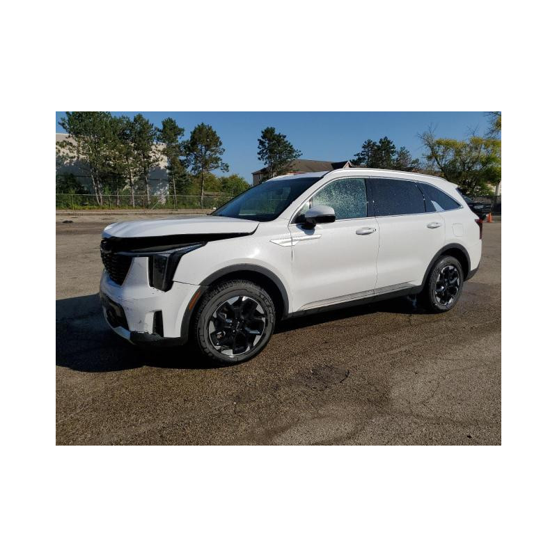2024 KIA SORENTO 5XYRLDJC1RG274507 84454085