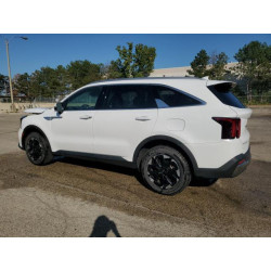 2024 KIA SORENTO 5XYRLDJC1RG274507 84454085