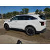 2024 KIA SORENTO 5XYRLDJC1RG274507 84454085