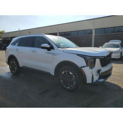 2024 KIA SORENTO 5XYRLDJC1RG274507 84454085