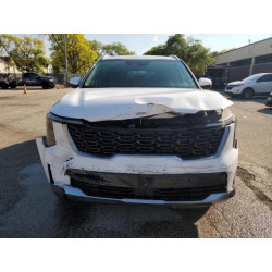 2024 KIA SORENTO 5XYRLDJC1RG274507 84454085