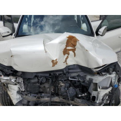 2021 TOYOTA LAND CRUIS JTMCY7AJ1M4099173 69675015