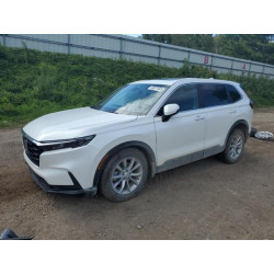 2024 HONDA CRV 7FARS4H47RE015422 69871545