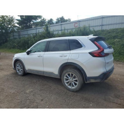 2024 HONDA CRV 7FARS4H47RE015422 69871545