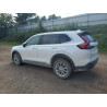 2024 HONDA CRV 7FARS4H47RE015422 69871545