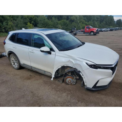 2024 HONDA CRV 7FARS4H47RE015422 69871545