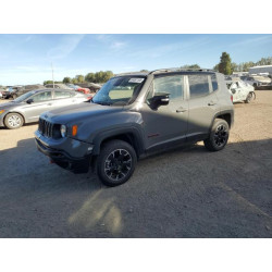 2023 JEEP RENEGADE ZACNJDC16PPP22010 84581195