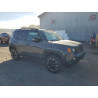 2023 JEEP RENEGADE ZACNJDC16PPP22010 84581195