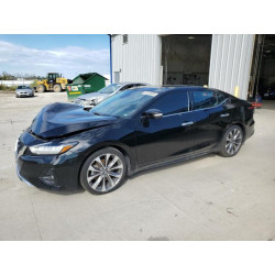 2021 NISSAN MAXIMA 1N4AA6FV8MC516544 81312835