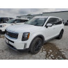 2020 KIA TELLURIDE 5XYP5DHC6LG038854 61001325
