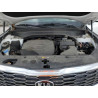 2020 KIA TELLURIDE 5XYP5DHC6LG038854 61001325
