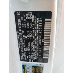 2020 KIA TELLURIDE 5XYP5DHC6LG038854 61001325
